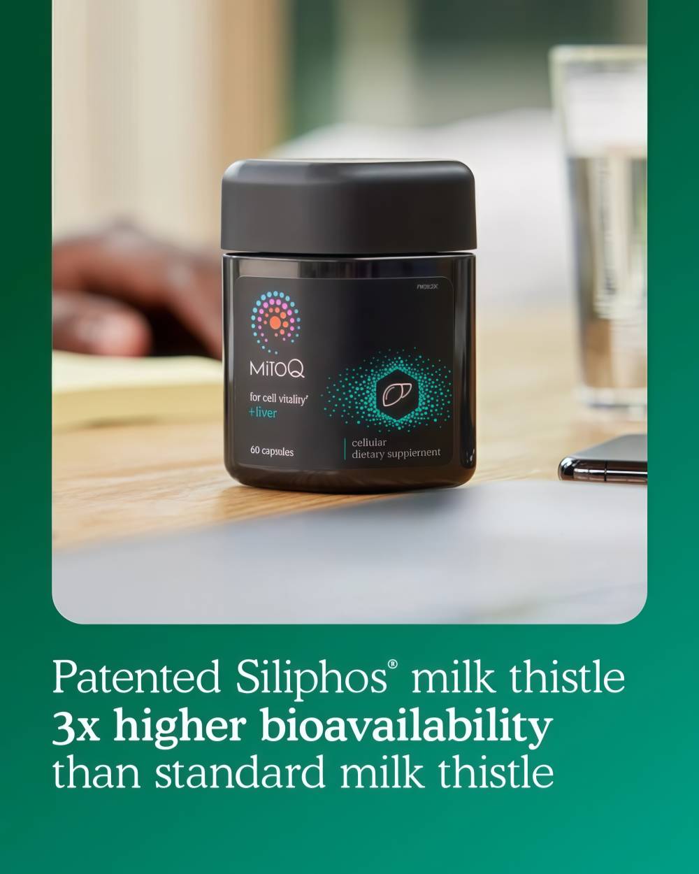 MitoQ +liver metabolism